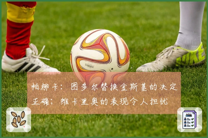 帕柳卡：图多尔替换金斯基的决定正确；维卡里奥的表现令人担忧