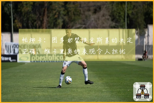 帕柳卡：图多尔替换金斯基的决定正确；维卡里奥的表现令人担忧